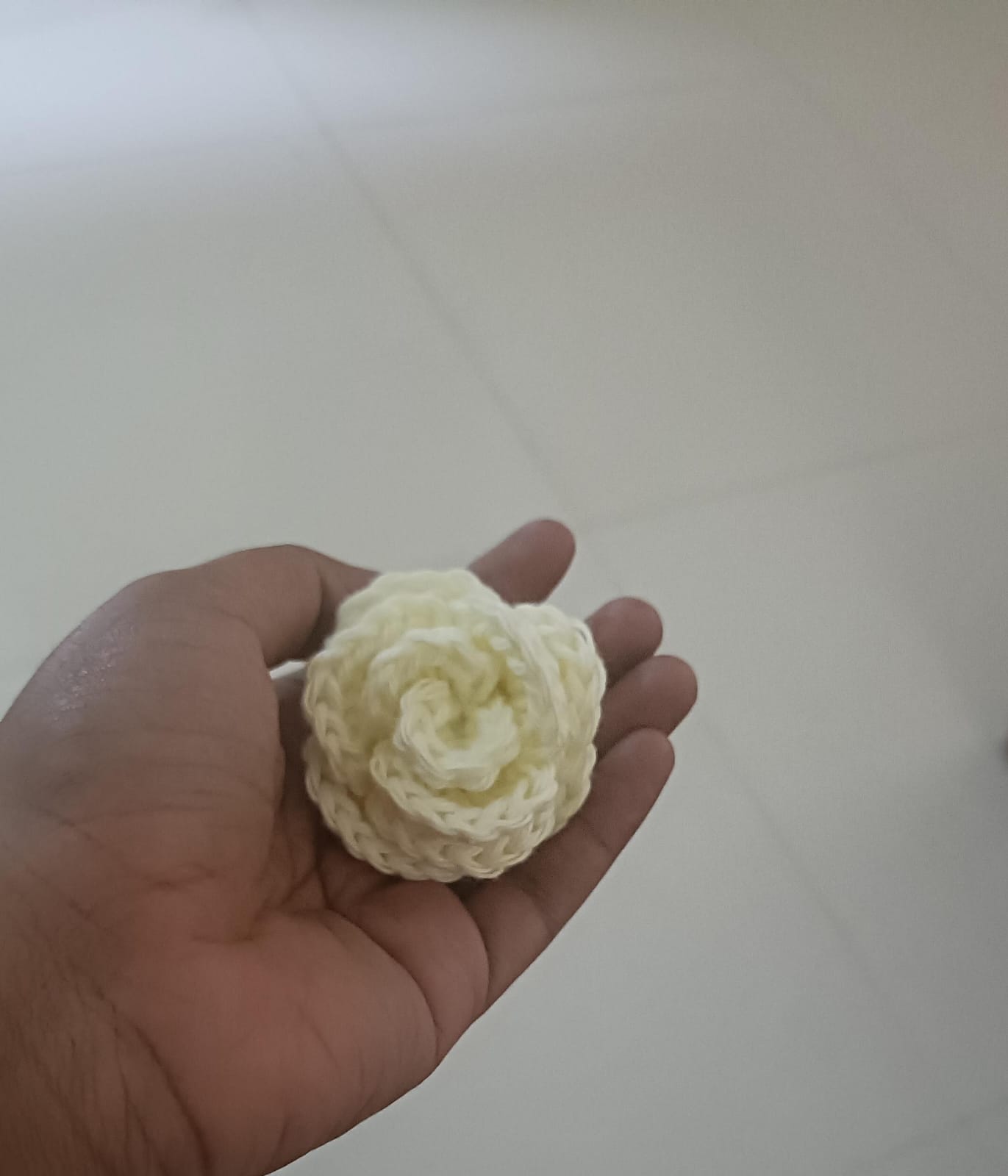 White Little Flower